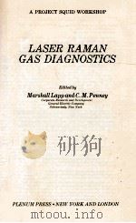 LASER RAMAN GAS DIAGNOSTICS（1974 PDF版）