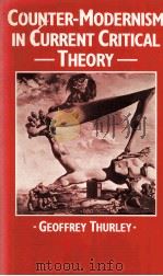 COUNTER-MODERNISM IN CURRENT CRITICAL THEORY   1983  PDF电子版封面  0333334361   