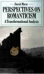 PERSPECTIVES ON ROMANTICISM A Transformational Analysis   1981  PDF电子版封面  0333282965   