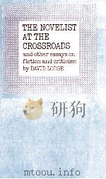 The Novelist at the Crossroads and other essays on fiction and criticism   1971  PDF电子版封面  0710070632   