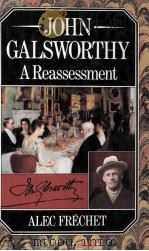 JOHN GALSWORTHY A Reassessment   1982  PDF电子版封面  0333315359   