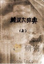 藏汉大辞典  上  藏文（1997 PDF版）