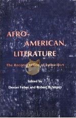 AFRO-AMERICAN LITERATURE The Reconstruction of Instruction   1979  PDF电子版封面  0873523512   