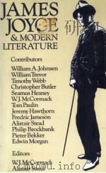 JAMES JOYCE AND MODERN LITERATURE   1982  PDF电子版封面    W.J.McCormack and Alistair Ste 