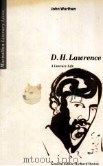D.H.Lawrence A Literary Life   1989  PDF电子版封面  033343353X   