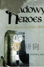 shadowy heroes Irish Literature of the 1890s   1980  PDF电子版封面  0815622317   