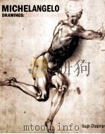 Michelangelo drawings : closer to the master     PDF电子版封面  0714126489   