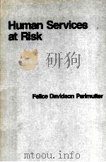 HUMAN SERVICES AT RISK FELICE DAVIDSON PERLMUTTER     PDF电子版封面  0669078131   