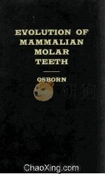 Evolution Of Mammalian Molar Teeth（1907 PDF版）