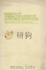 MOLECULAR CHARACTERIZATION OF COMPOSITE INTERFACES   1985  PDF电子版封面  0306418371   