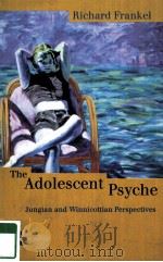 THE ADOLESCENT PSYCHE     PDF电子版封面     