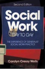 SOCIAL WORK DAY TO DAY THE EXPERIENCE OF GENERALIST SOCIAL WORK PRACTICE SECOND EDITION     PDF电子版封面  9780801300417   