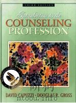 INTRODUCTION TO THE COUNSELING PROFESSION     PDF电子版封面  9780205321964   