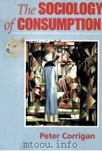 THE SOCIOLOGY OF CONSUMPTION（ PDF版）