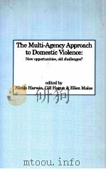 THE MULTI-AGENCY APPROACH TO DOMESTIC VIOLENCE:NEW OPPORTUNITIES OLD CHALLENGES?（ PDF版）