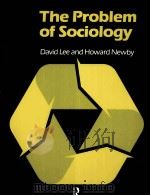 THE PROBLEM OF SOCIOLOGY DAVID LEE AND HOWARD NEWBY     PDF电子版封面     