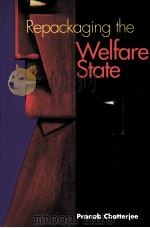 PEPACKAGING THE WELFARE STATE     PDF电子版封面     