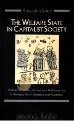 THE WELFARE STATE IN CAPITALIST SOCIETY（ PDF版）