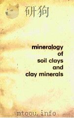 MINERALOGY OF SOIL CLAYS AND CLAY MINERALS   1974  PDF电子版封面     
