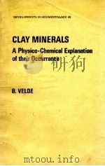 DEVELOPMENTS IN SEDIMENTOLOGY 40 CLAY MINEARLS A PHYSICO-CHEMICAL EXPLANATION OF THEIR OCCURRENCE   1985  PDF电子版封面  0444424237   