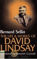 THE LIFE AND WORKS OF DAVID LINDSAY   1981  PDF电子版封面  0521034019   