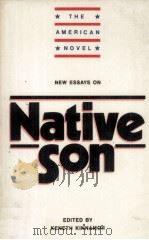 New Essays on Native Son   1990  PDF电子版封面  0521348226   