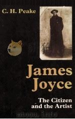JAMES JOYCE THE CITIZEN AND THE ARTIST   1977  PDF电子版封面  0713162813   