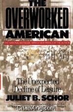 THE OVERWORKED AMERICAN THE UNEXPECTED DECLINE OF LEISURE（1992 PDF版）