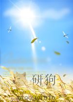 西藏佛教大事年表(藏文)     PDF电子版封面     