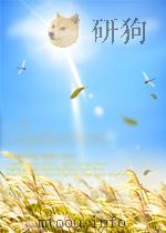 藏医千万舍利(藏文)     PDF电子版封面     