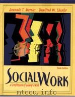 SOCIAL WORK A PROFESSION OF MANY FACES（ PDF版）