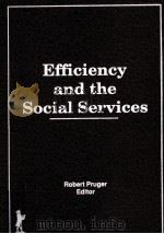 EFFICIENCY AND THE SOCIAL SERVICES     PDF电子版封面  1560241136   