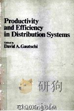 PRODUCTIVITY AND EFFICENCY IN DISTRIBUTION SYSTEMS   1983  PDF电子版封面  0444007350   