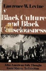 BLACK CULTURE AND BLACK CONSCIOUSNESS AFRO-AMERICAN FOLK THOUGHT FROM SLAVERY TO FREEDOM（1977 PDF版）