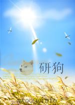 作怖金刚全传（上册）（藏文）     PDF电子版封面     