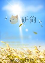 达隆教史.奇异大海第八回(藏文)   PDF电子版封面     