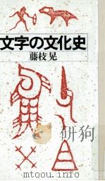 文字の文化史   1991.10  PDF电子版封面    藤枝晃 