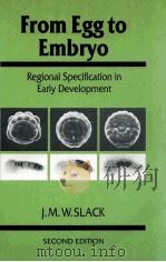 FROM EGG TO EMBRYO REGIONAL SPECIFICATION IN EARLY DEVELOPMENT SECOND EDITION（1991 PDF版）