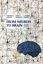From neuron to brain:a cellular and molecular approach to the function of the nervous system  （Secon（1984 PDF版）