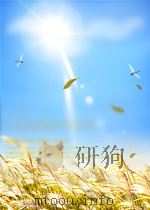 藏英辞典(藏文)     PDF电子版封面     