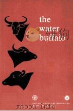 THE WATER BUFFALO（1977 PDF版）