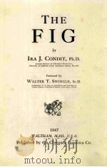 THE FIG     PDF电子版封面    IRA J.CONDIT 