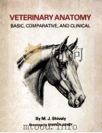 VETERINARY ANATOMY BASIC COMPARATIVE AND CLINICAL     PDF电子版封面     