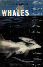 WHALES（1962 PDF版）