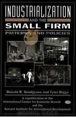 INDUSTRIALIZATION AND THE SMALL FIRM PATTERNS AND POLICIES     PDF电子版封面     