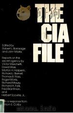THE CIA FILE     PDF电子版封面     