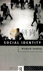 SOCIAL IDENTITY RICHARD JENKINS     PDF电子版封面     