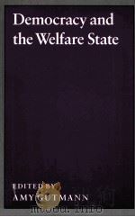 DEMOCRACY AND THE WELFARE STATE     PDF电子版封面     