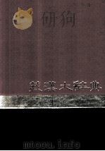 藏汉大辞典  上  藏文（1987 PDF版）