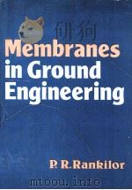 MEMBRANES IN GROUND ENGINEERING   1981  PDF电子版封面  0471278084   